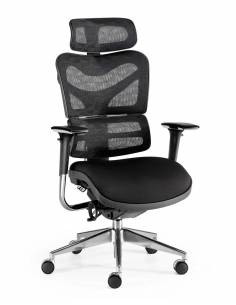 Sillón Ergonómico New Ergostone