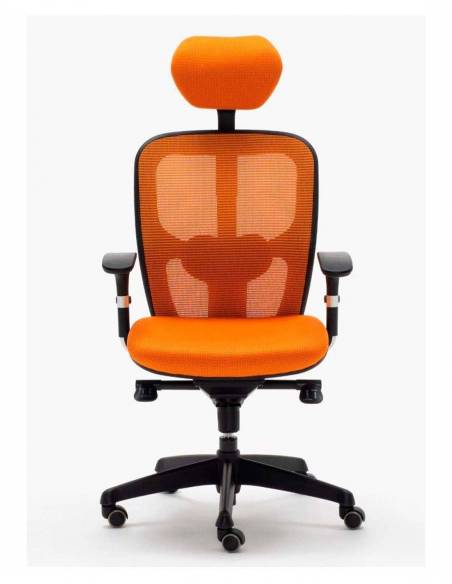 Silla Ergonómica Boston - Con/Sin Cabecero