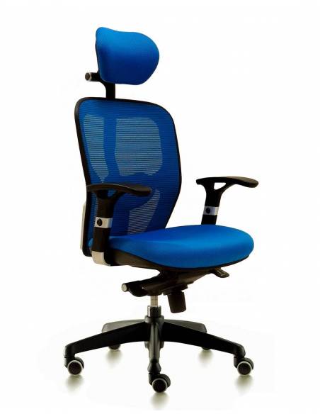 Silla Ergonómica Boston - Con/Sin Cabecero