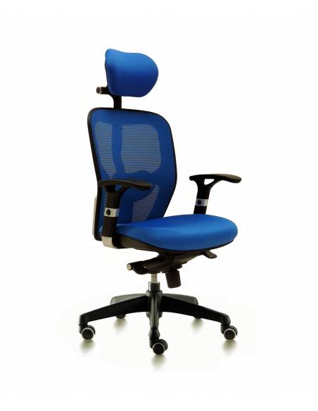 Boston con cabezal azul