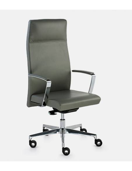 Silla Direccional Neo+