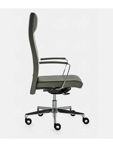 Sillón direccional NEO+