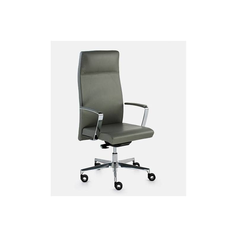 Silla Direccional Neo+